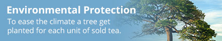 Environmental Protection AURESA and environmental protection